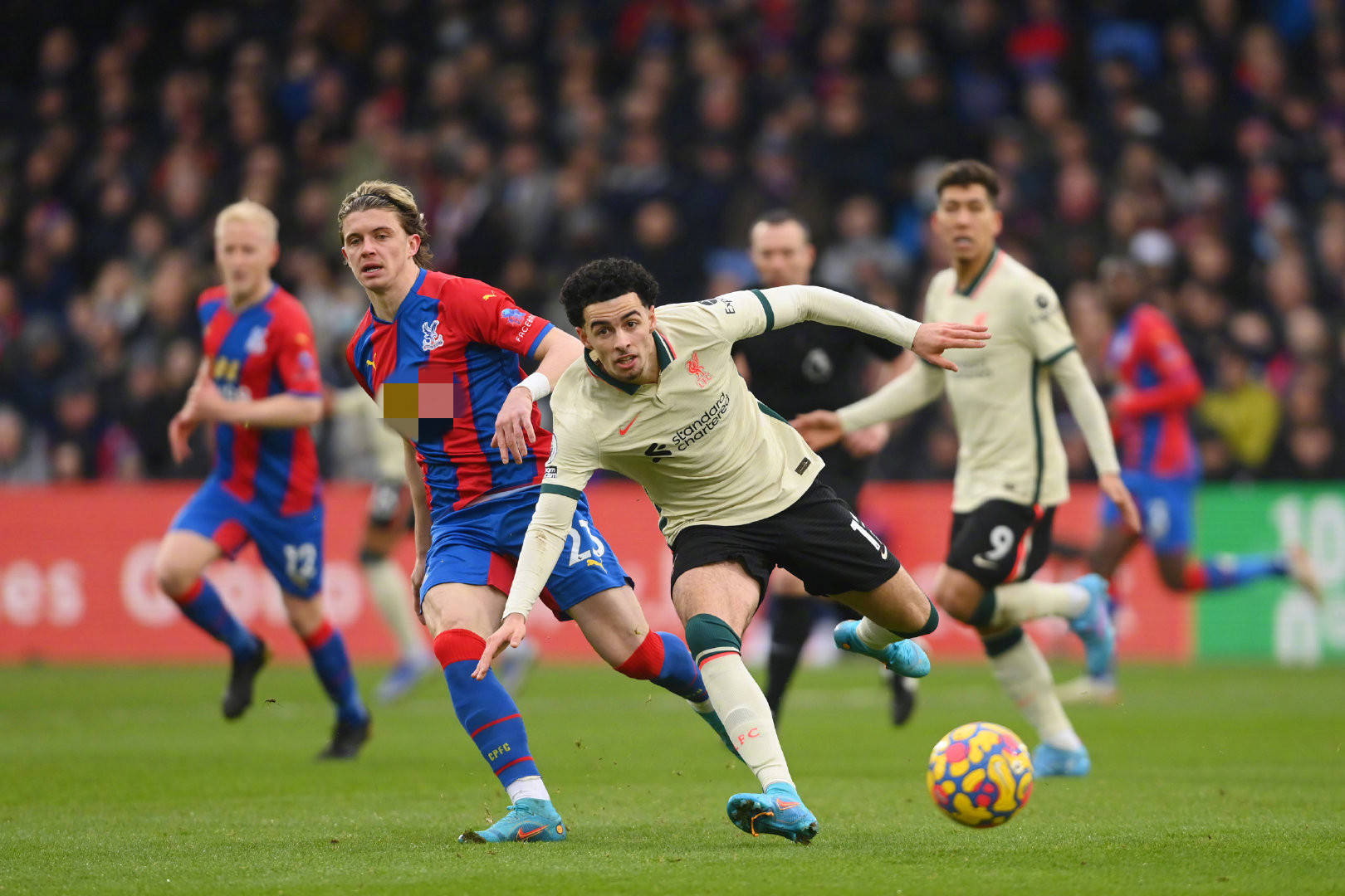 书般的案例 书般的案例